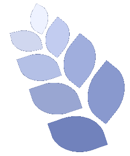 Terra Azul Consultoria